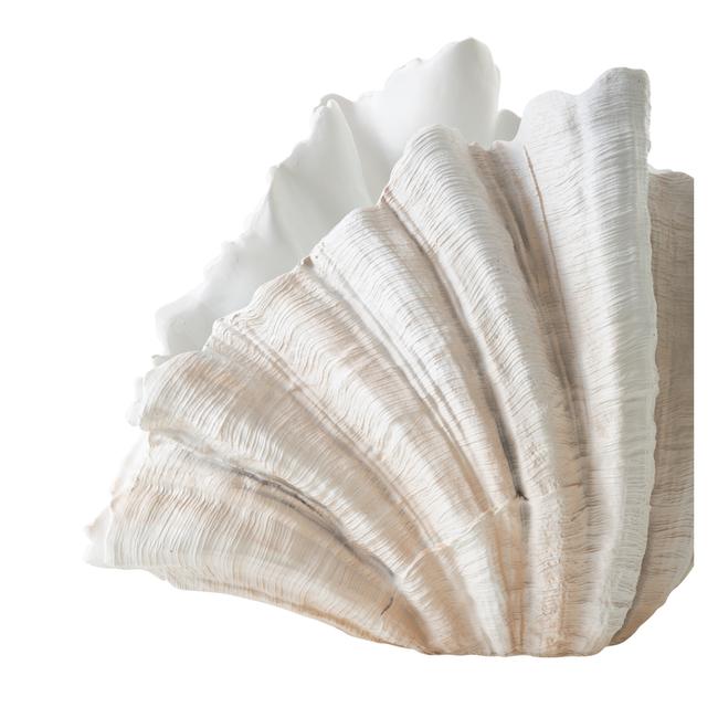 CLAM SHELL VAZO 57X36CM