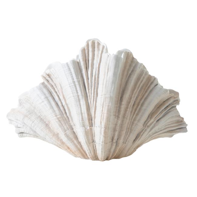 CLAM SHELL VAZO 57X36CM