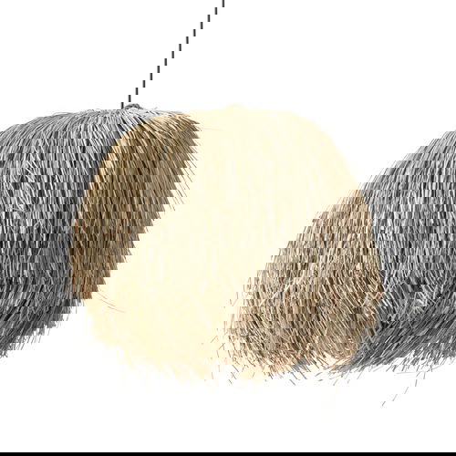  DEMETER RATTAN SARKIT