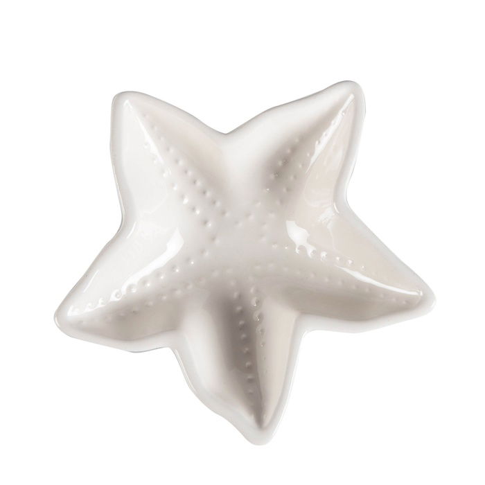 STARFISH ÇEREZLİK
