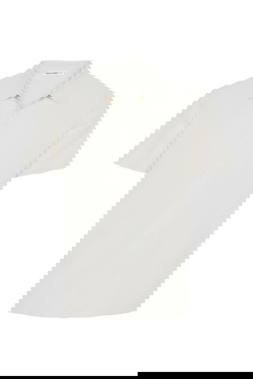 TAŞ