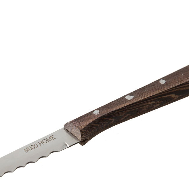 2Lİ STEAK ÇATAL BIÇAK SETİ